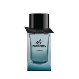 Tøj gruppe magasin Buy Burberry Mr Burberry Element EDT 100ml | Wizard Pharmacy